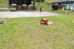 img_20190601_130554